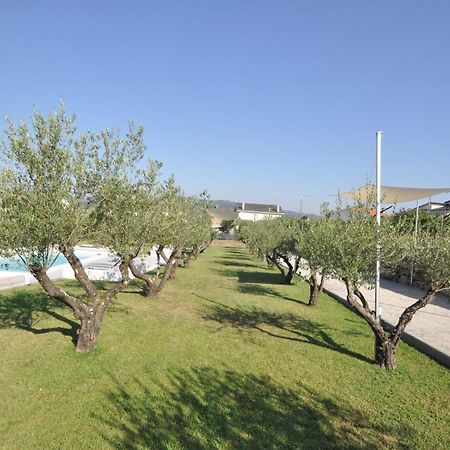 Olival Da Seara Villa Marco de Canavezes Eksteriør bilde